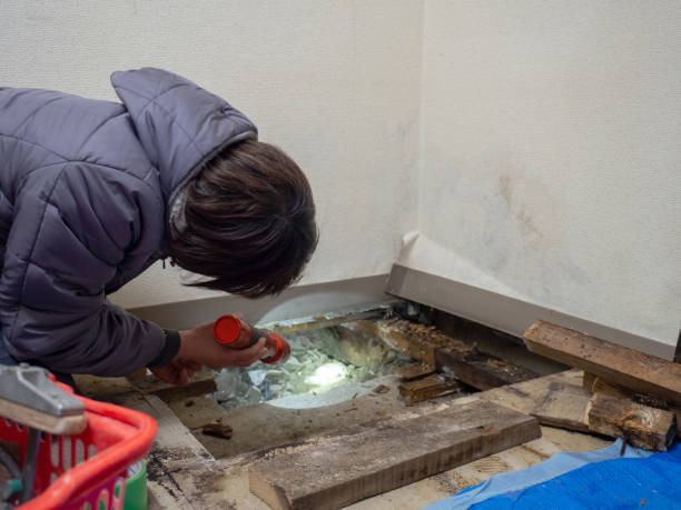 Best Air Quality Testing for Mold Spores  in Northville, MI