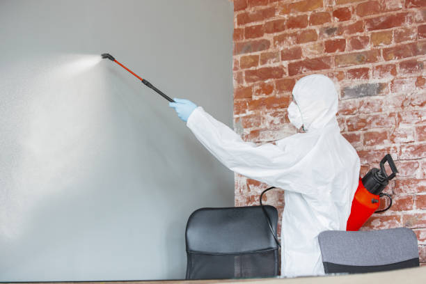Best Asbestos and Lead Testing During Mold Inspection  in Northville, MI