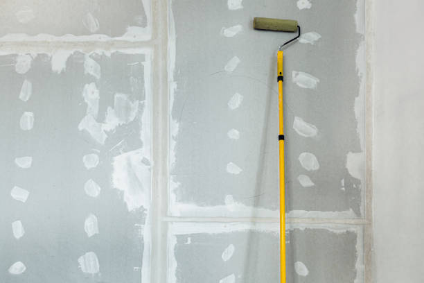 Trusted Northville, MI Mold Removal Experts