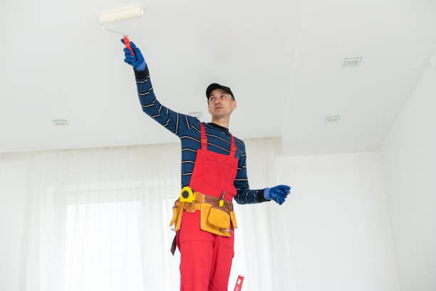 Best Mold Removal for HVAC Installations  in Northville, MI