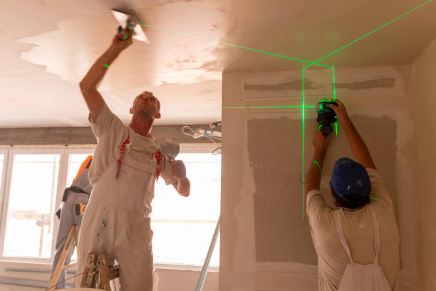 Best Residential Mold Inspection & Testing  in Northville, MI