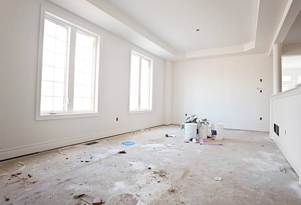  Northville, MI Mold Removal Pros